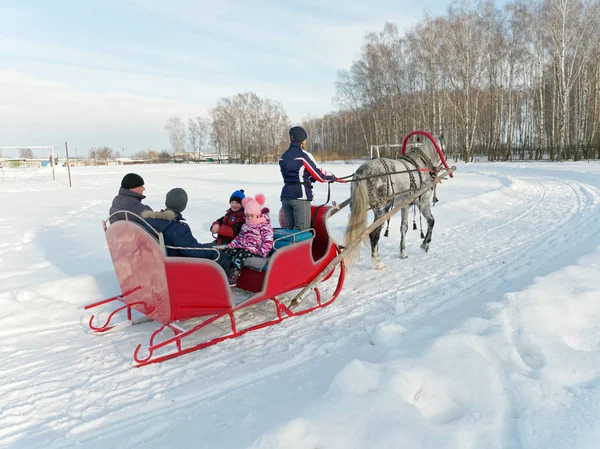 Gomel Belarus January 2019 People Ride Winter Horse Drawn Sleigh — стокове фото