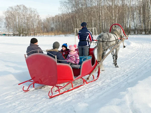 Gomel Belarus January 2019 People Ride Winter Horse Drawn Sleigh — стокове фото