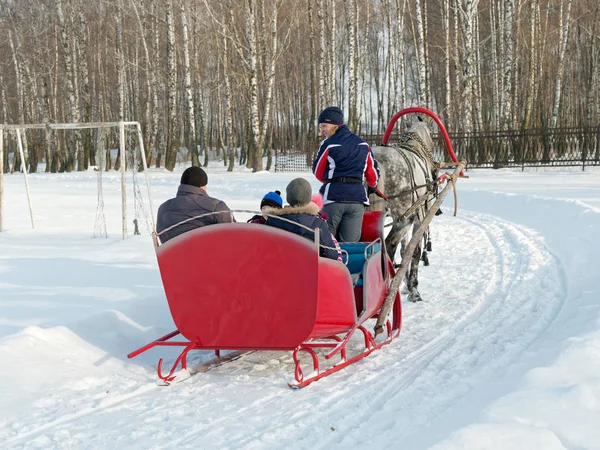 Gomel Belarus January 2019 People Ride Winter Horse Drawn Sleigh — стокове фото