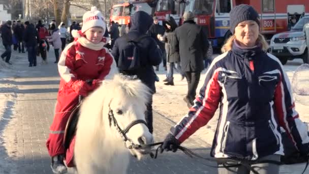 Gomel Belarus Janeiro 2019 Uma Criança Monta Pônei Vigésimo Aniversário — Vídeo de Stock