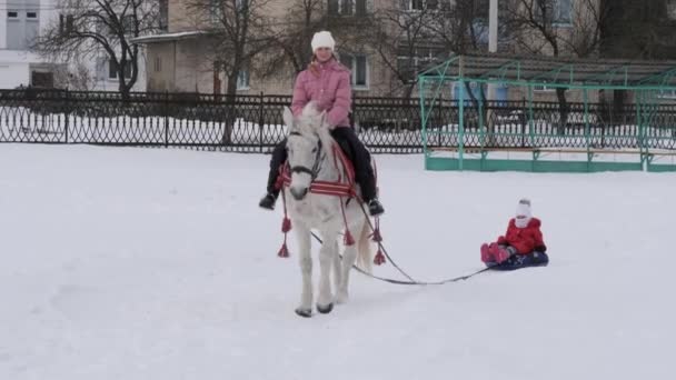 Gomel Vitryssland Januari 2019 Ryttare Häst Rullar Ett Barn Släde — Stockvideo