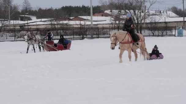 Gomel Bělorusko Ledna 2019 Jezdec Koni Rolích Dítě Saních Trubky — Stock video