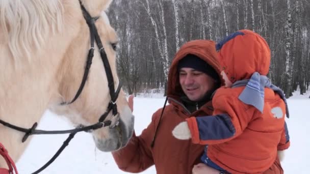 Гомель Беларус Января 2019 Года Отец Сын Зимой Гладят Лошадь — стоковое видео