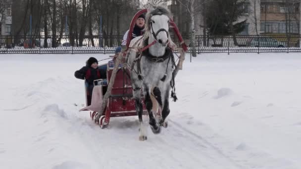 Гомель Беларус Января 2019 Года Люди Ездят Зимой Конных Санях — стоковое видео