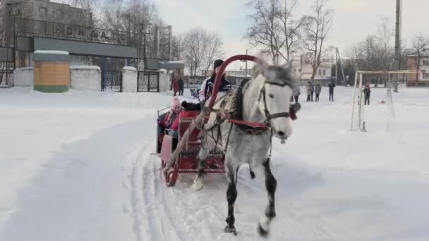 Gomel Fehéroroszország 2019 Január Emberek Ride Egy Lovas Szánkózás Télen — Stock videók