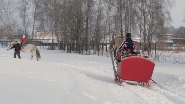 Gomel Belaro Gennaio 2019 Persone Cavalcano Inverno Slitta Trainata Cavalli — Video Stock