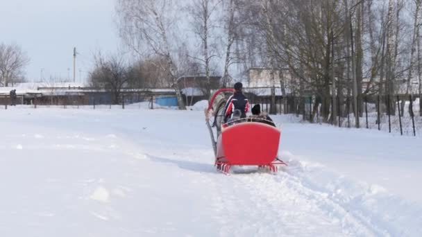 Gomel Belarus January 2019 People Ride Winter Horse Drawn Sleigh — Stock Video