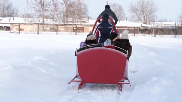 Gomel Bělorusko Ledna 2019 Lidé Jezdit Zimě Saních Tažených — Stock video