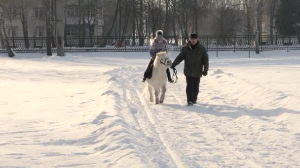 Гомель Беларус Января 2019 Года Ребенок Катается Пони — стоковое видео
