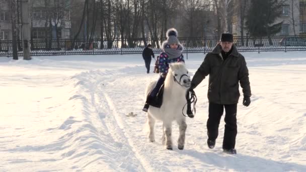 Gomel Belarus Janeiro 2019 Uma Criança Monta Pônei — Vídeo de Stock
