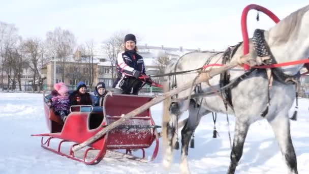 Gomel Belaro Gennaio 2019 Persone Cavalcano Inverno Slitta Trainata Cavalli — Video Stock