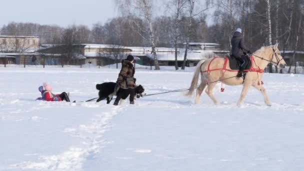 Gomel Vitryssland Januari 2019 Ryttare Häst Rullar Ett Barn Släde — Stockvideo