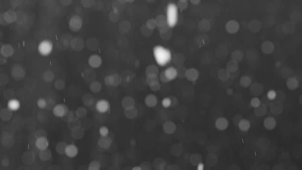 Schwere Schneeweiße Schneeflocken Auf Dunklem Hintergrund — Stockvideo