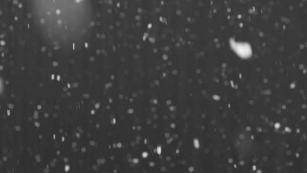 Schwere Schneeweiße Schneeflocken Auf Dunklem Hintergrund — Stockvideo