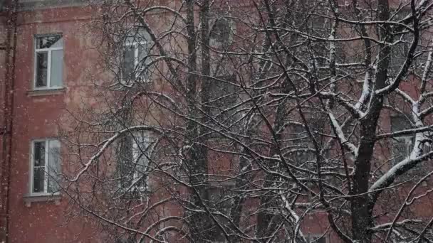 住宅の背景に重い雪の白い雪 — ストック動画
