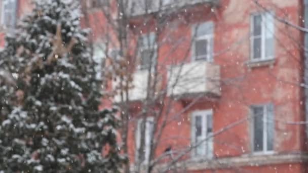 Copos Nieve Blancos Sobre Fondo Residencial — Vídeo de stock