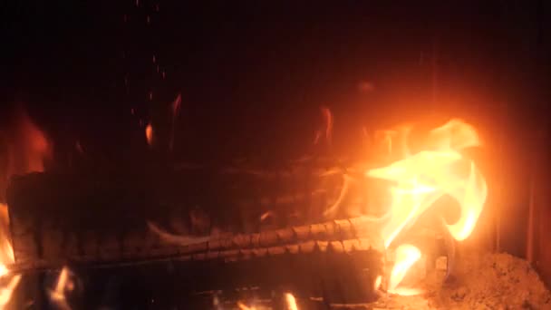 Czerwone Płomienie Otgryaschih Naturalnego Drewna Przy Kominku — Wideo stockowe