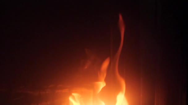 Plamen Otgryaschih Přírodního Dřeva Krbu — Stock video