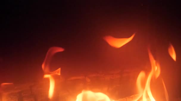 Красное Пламя Отрясших Натуральных Дров Камина — стоковое видео