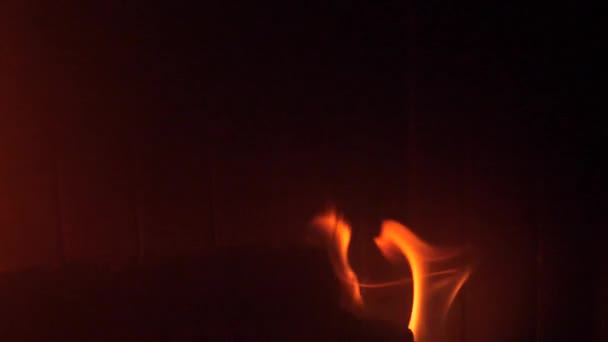 暖炉のそばで Otgryaschih 天然木の赤い炎 — ストック動画