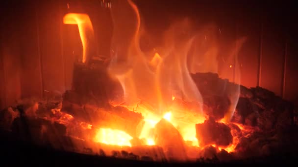 由壁炉的奥特里亚希天然木材红色火焰 — 图库视频影像