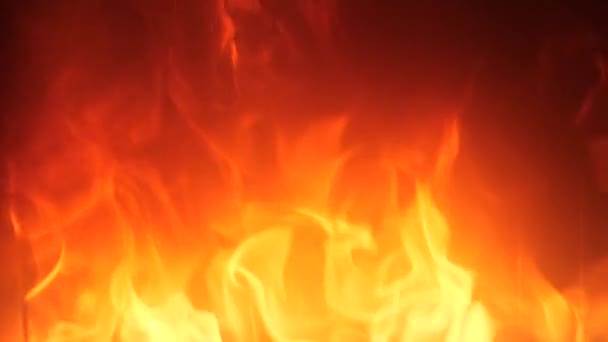 Rote Flammen Von Otgryaschih Natürlichem Holz Kamin — Stockvideo