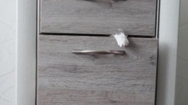 mavi gözlü hafif çizgili kedi göğüs çekmece dışarı tırmanıyor.