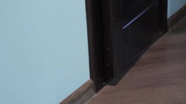 mavi gözlü hafif çizgili kedi kapıyı açar.