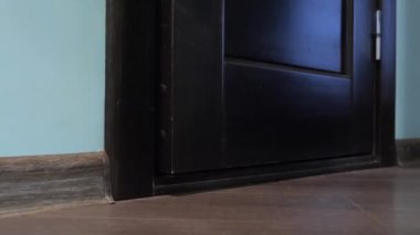 mavi gözlü hafif çizgili kedi kapıyı açar.