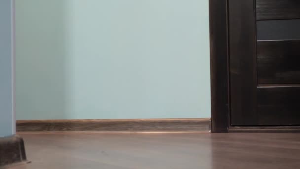 Světle Pruhovaná Kočka Modrýma Očima Otevírá Dveře — Stock video