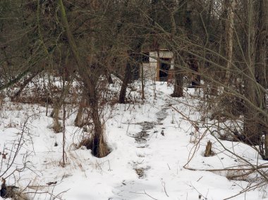 Gomel, Belarus. Bush banliyölerinde kış evsiz ev