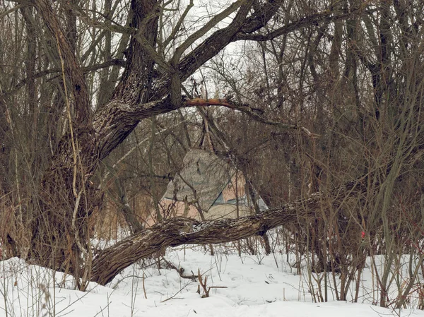 白俄罗斯戈梅尔在丛林郊区的无家可归者的家在冬天 — 图库照片