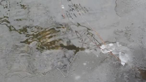 El comienzo de la primavera. trozo de hielo cerca de un agua . — Vídeo de stock