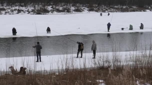 El comienzo de la primavera. pescadores capturan peces del hielo . — Vídeos de Stock