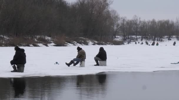 Início Primavera Pescadores Capturam Peixes Gelo — Vídeo de Stock