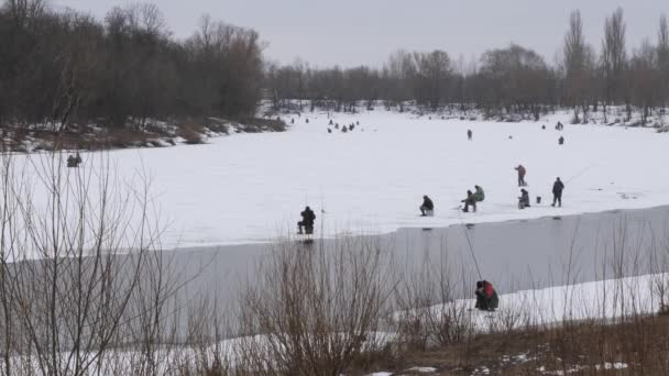 Comienzo Primavera Pescadores Capturan Peces Del Hielo — Vídeos de Stock