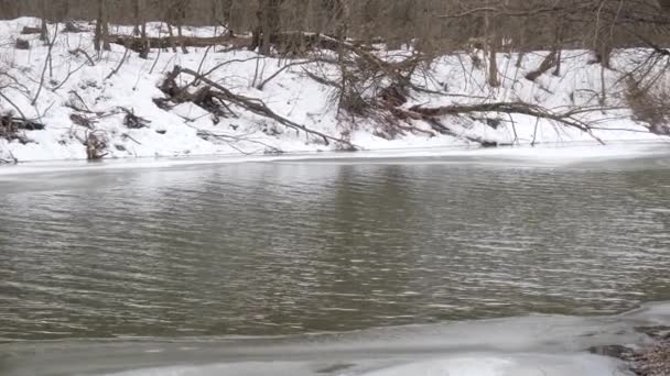 Début Printemps Rivière Est Libre Glace — Video