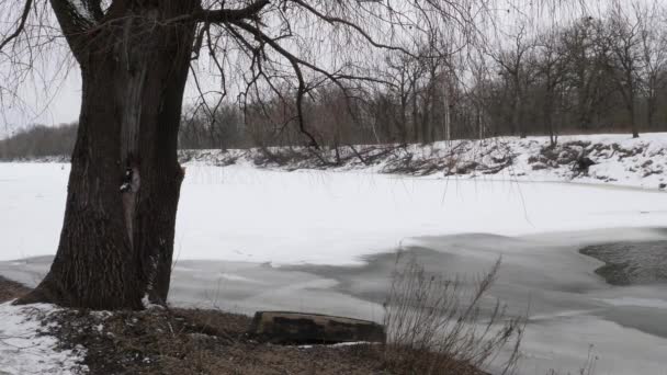 Awal Musim Semi Sungai Ini Bebas Dari — Stok Video