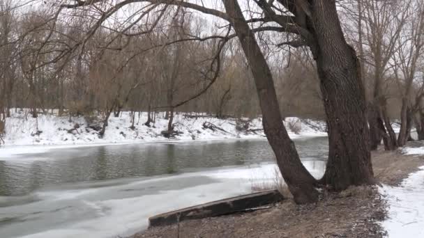 Початок Весни Річка Вільна Від Льоду — стокове відео