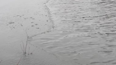 baharın başlangıcı. nehir buzdan ücretsizdir.