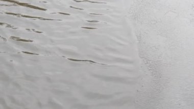 baharın başlangıcı. nehir buzdan ücretsizdir.