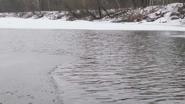 Την Αρχή Της Άνοιξης Ποταμός Είναι Ελεύθερη Από Πάγο — Αρχείο Βίντεο