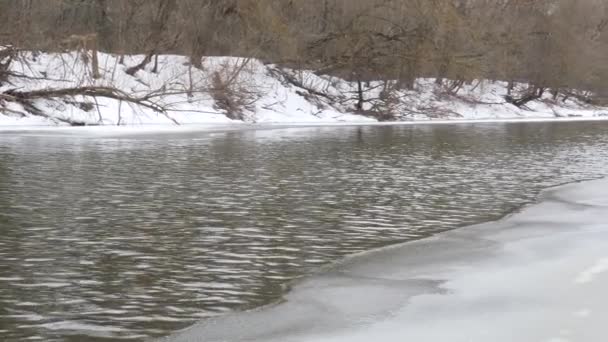 Začátek Jara Řeka Bez Ledu — Stock video