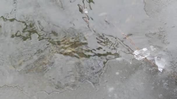 Comienzo Primavera Río Está Libre Hielo — Vídeos de Stock