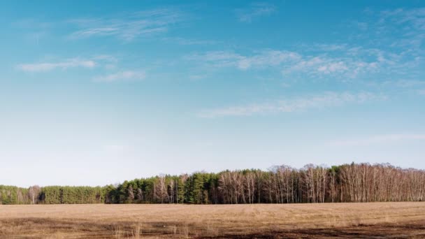 Início Primavera Nuvens Estão Flutuando Sobre Campo — Vídeo de Stock