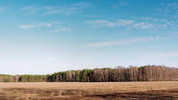 Início Primavera Nuvens Estão Flutuando Sobre Campo — Vídeo de Stock