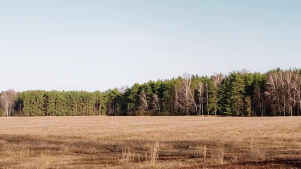 Início Primavera Nuvens Estão Flutuando Sobre Campo — Vídeo de Stock