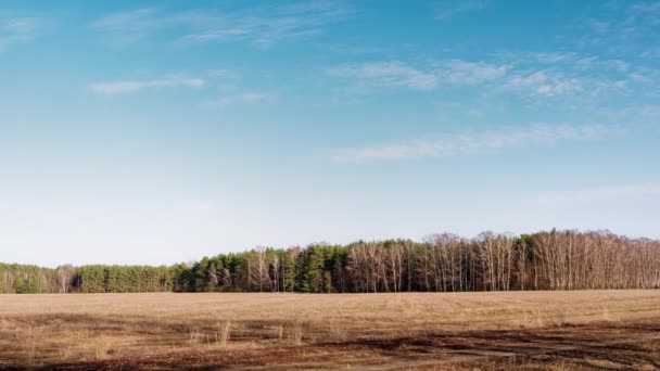 Comienzo Primavera Nubes Flotan Sobre Campo — Vídeo de stock