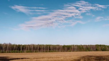 baharın başlangıcı. bulutlar alan üzerinde yüzen.