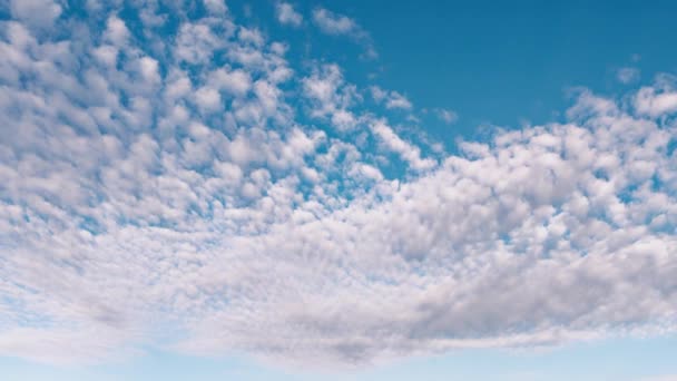 Początku Wiosny Chmury Pływające Przeciw Błękitne Niebo — Wideo stockowe